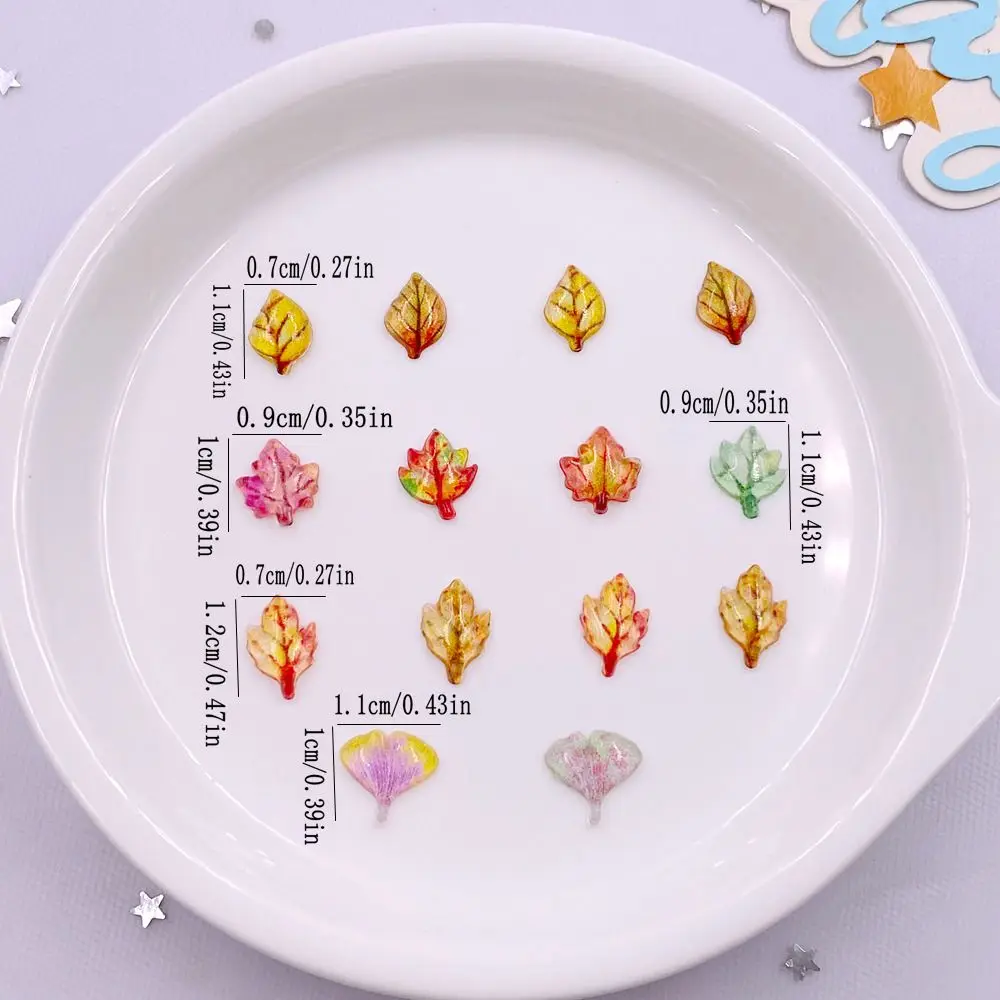 50pcs Mixed Resin Mini Crystal - Paradise Jewelry & Watches Dolphin Mall recensie en prijs